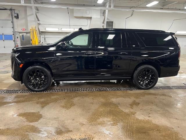 2024 Cadillac Escalade ESV 4WD 4dr Sport Platinum